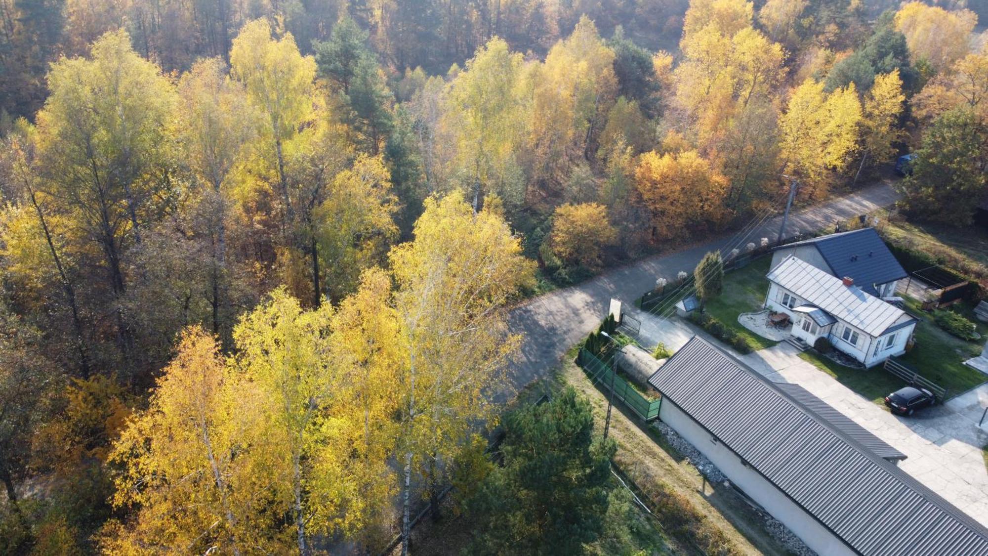 Wypoczynek Letnia Oaza Villa Sobienie Jeziory Dış mekan fotoğraf